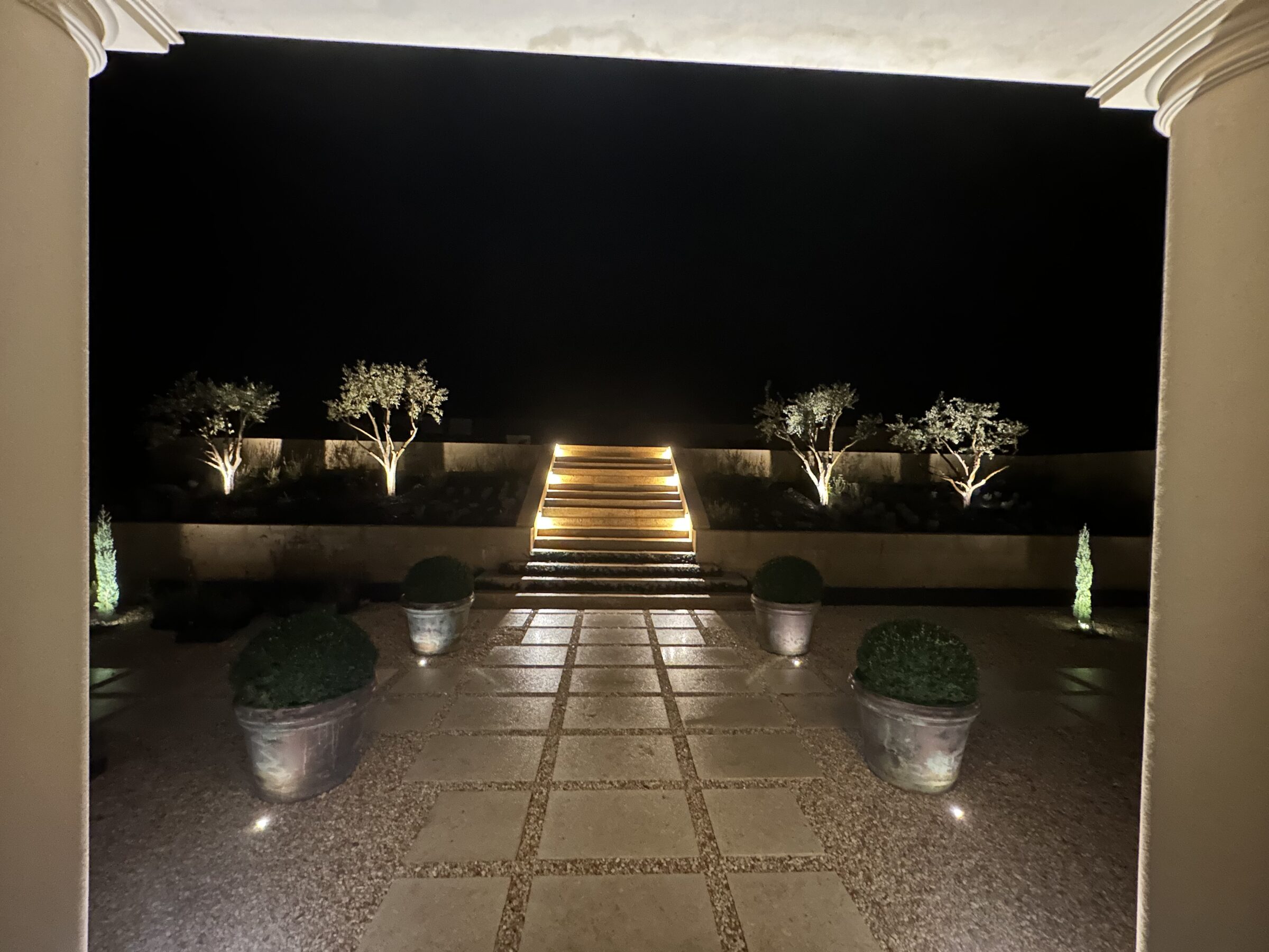 The garden steps at Terre Rouge lit by night with up-lit olive trees and topiary