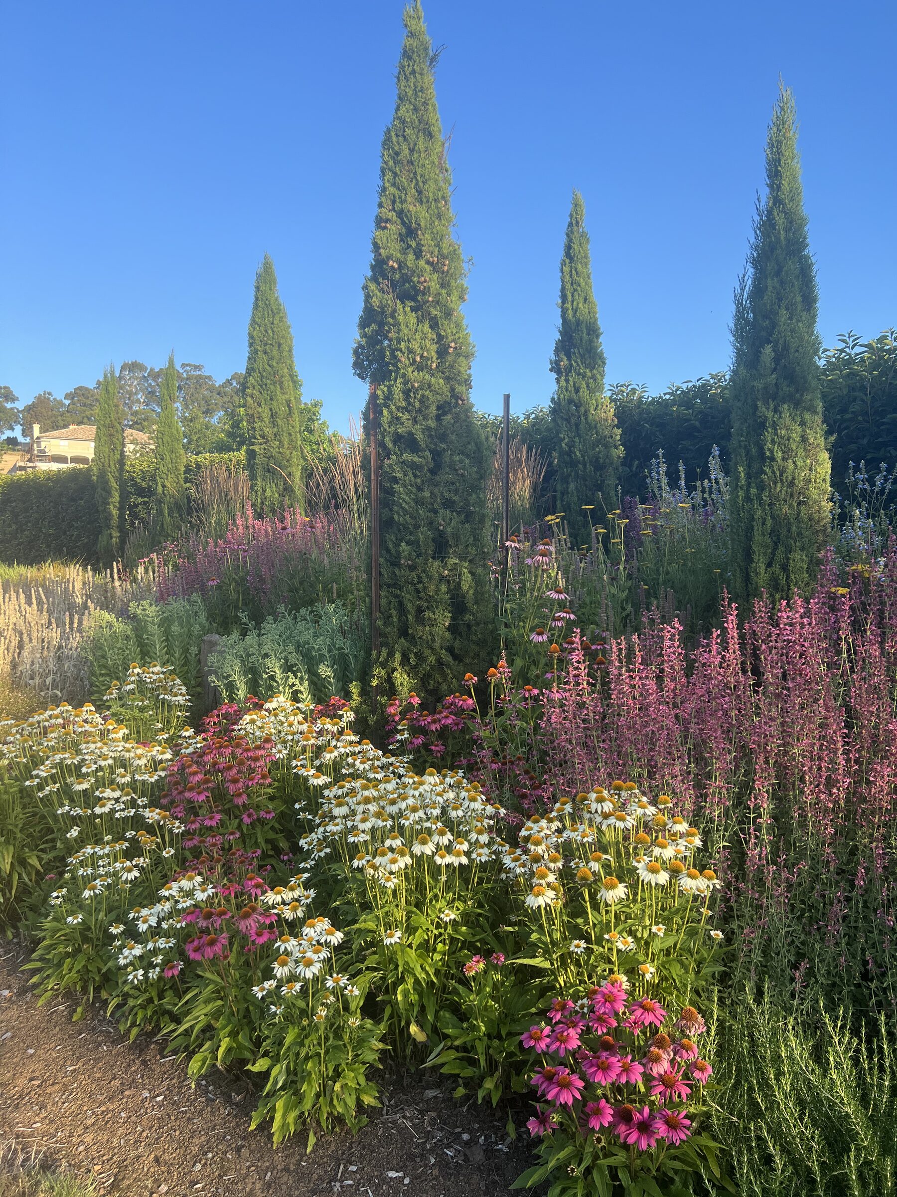 Cypress trees and cottage gardens at Terre Rouge