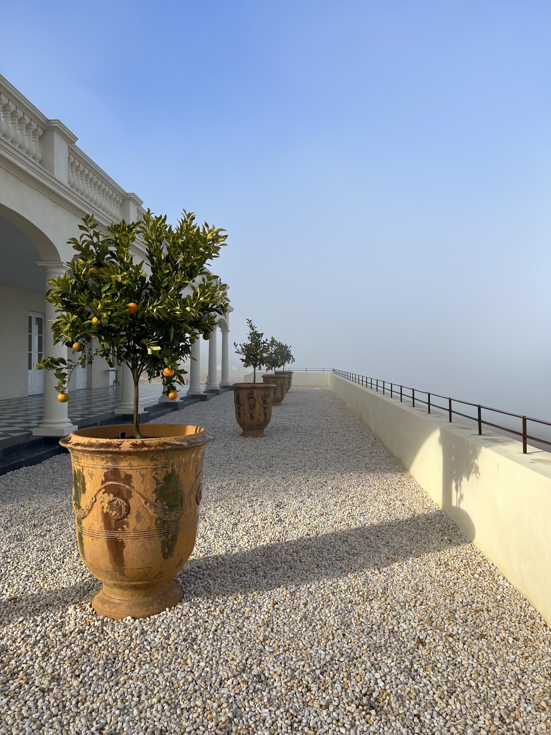Anduze terracotta pots with citrus trees lining the terrace at Terre Rouge, with the Dandenong Ranges beyond